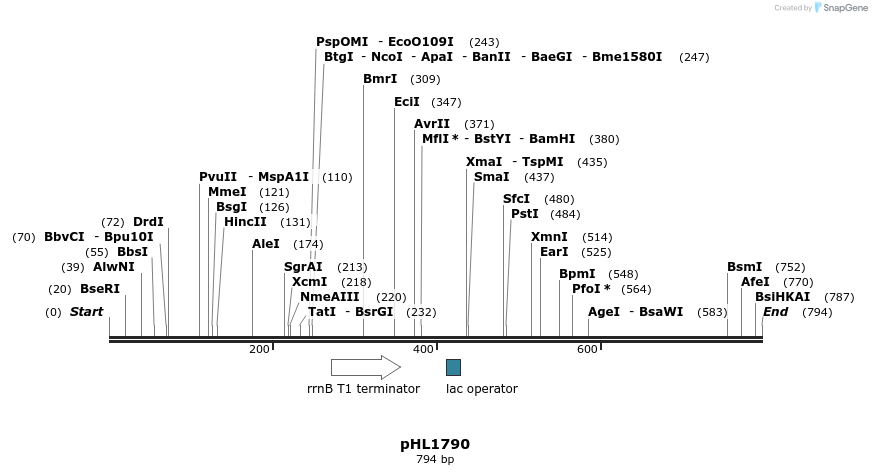 84003_map