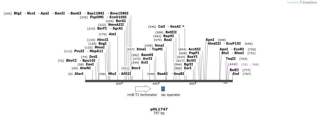 84006_map