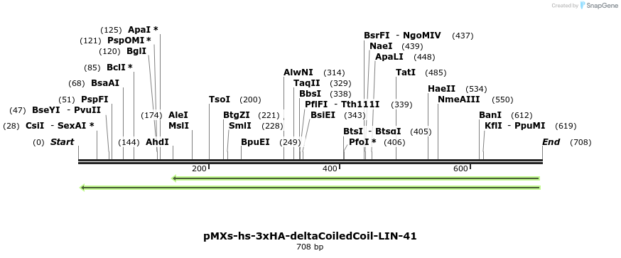 84007_map