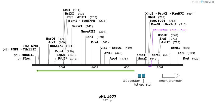 84008_map