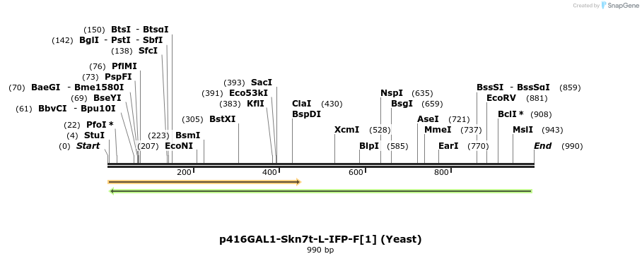 84010_map