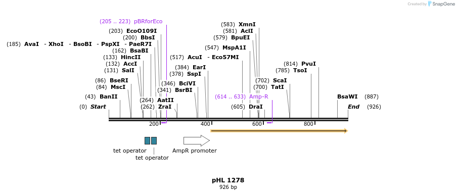 84016_map