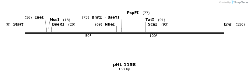 84018_map