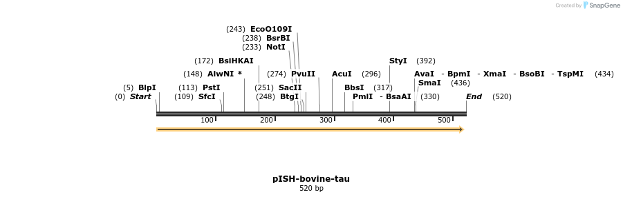 8402_map