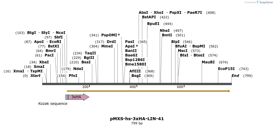 84020_map