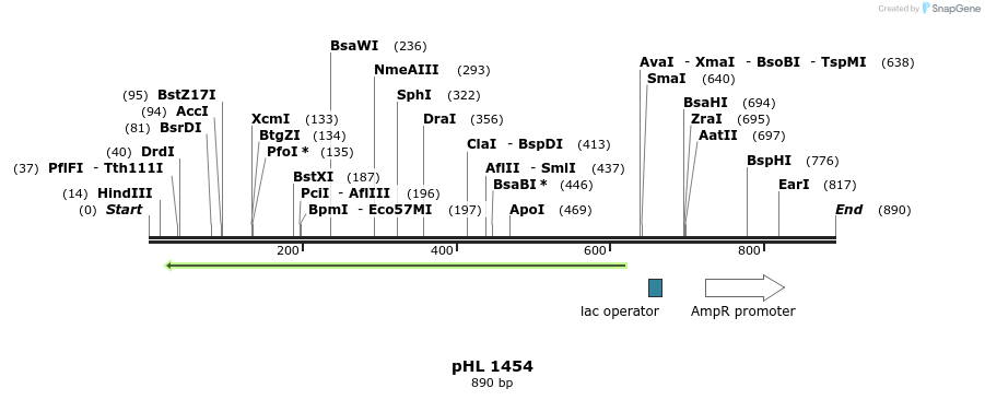 84022_map