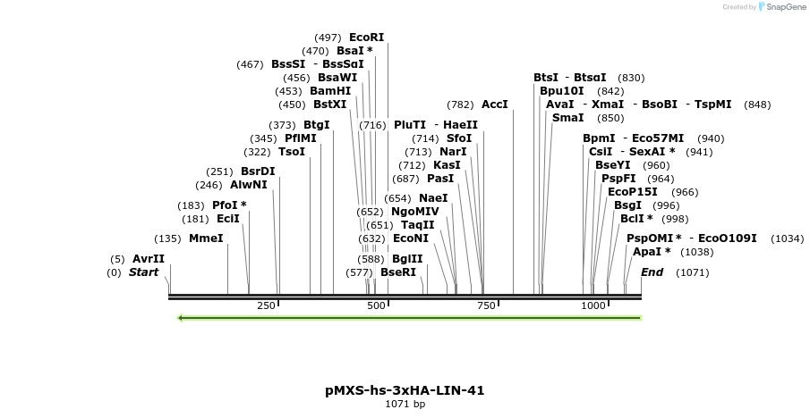 84027_map
