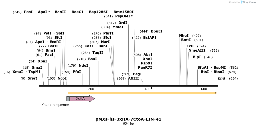 84028_map