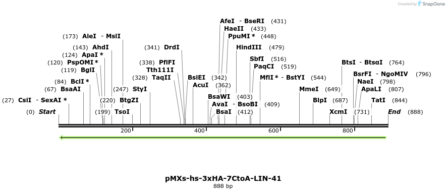 84029_map