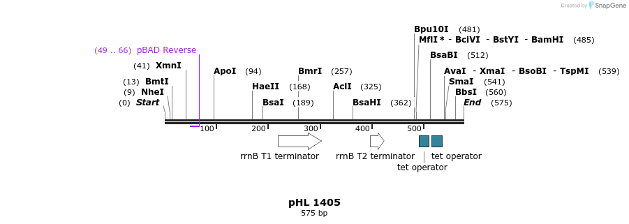 84031_map