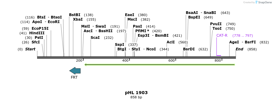 84033_map