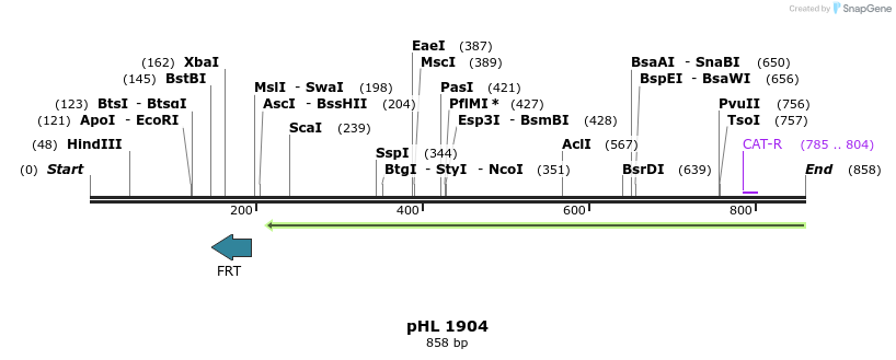 84035_map
