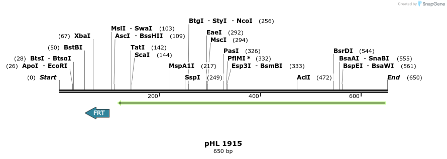 84036_map