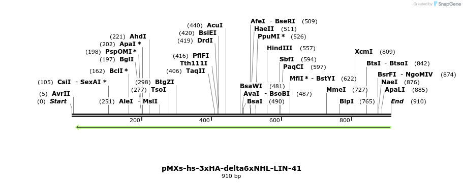 84037_map