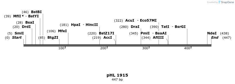 84038_map