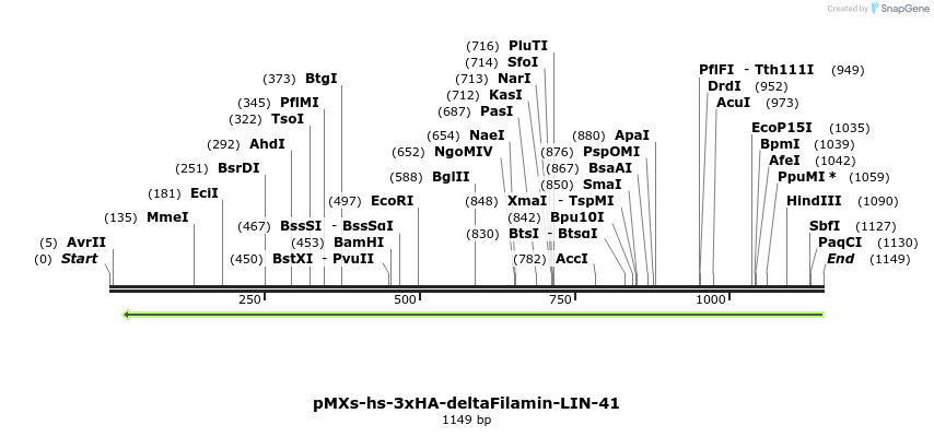 84040_map