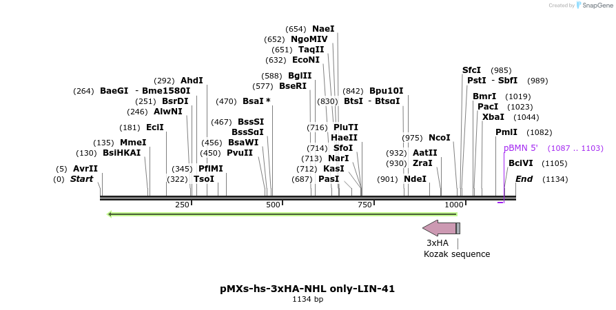 84042_map