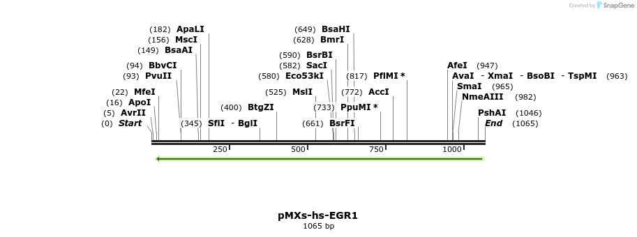 84049_map