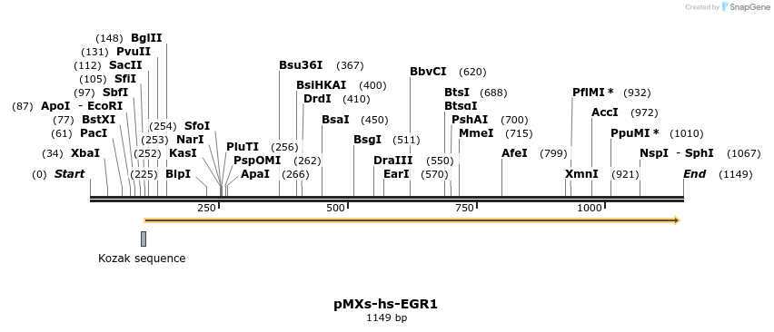 84050_map