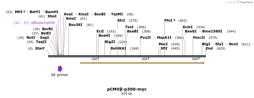 84051_map