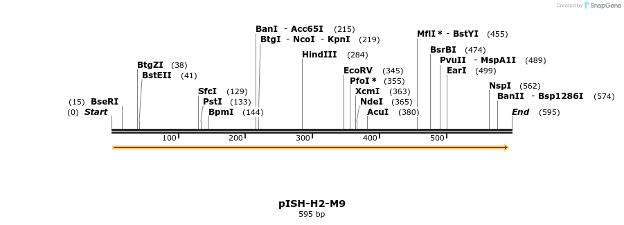 8406_map