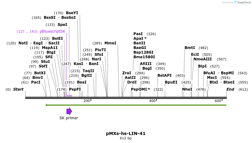 84061_map