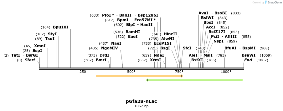 84062_map