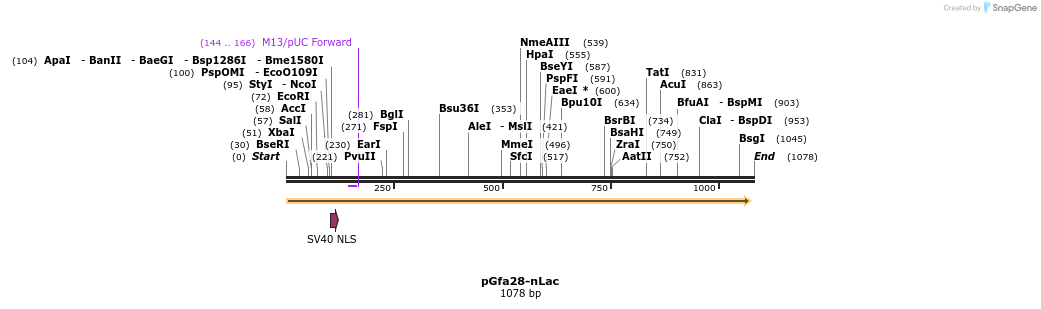 84064_map