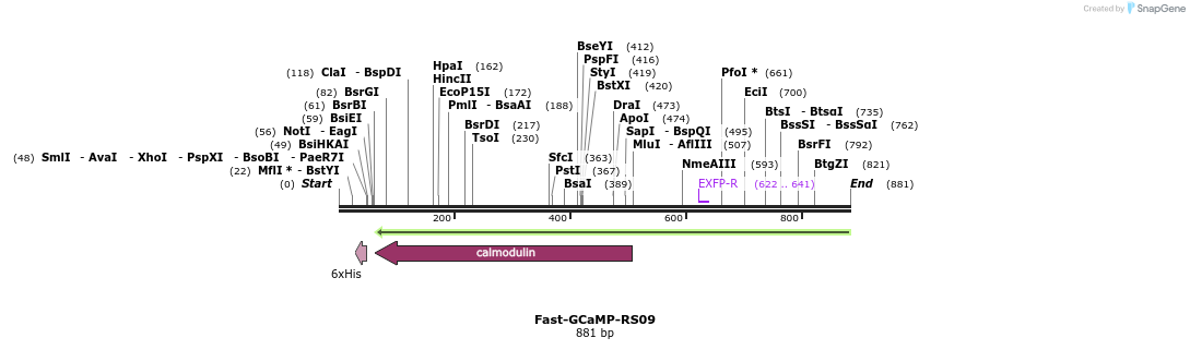 84066_map