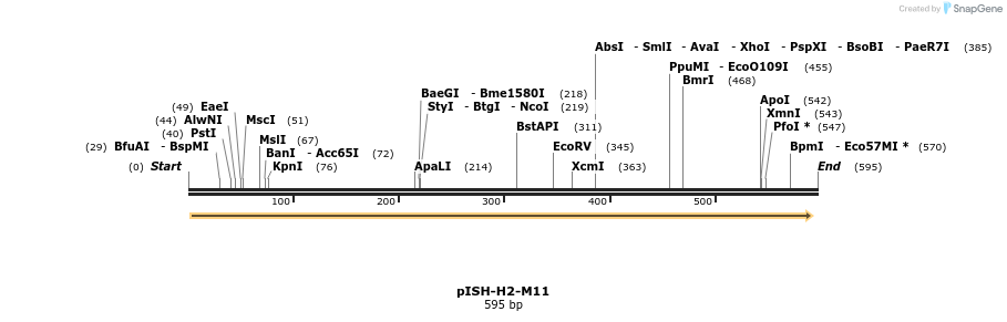8407_map