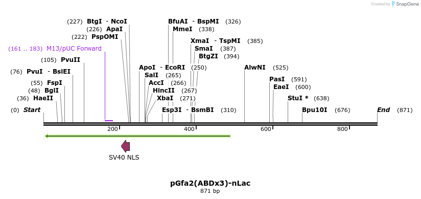 84081_map