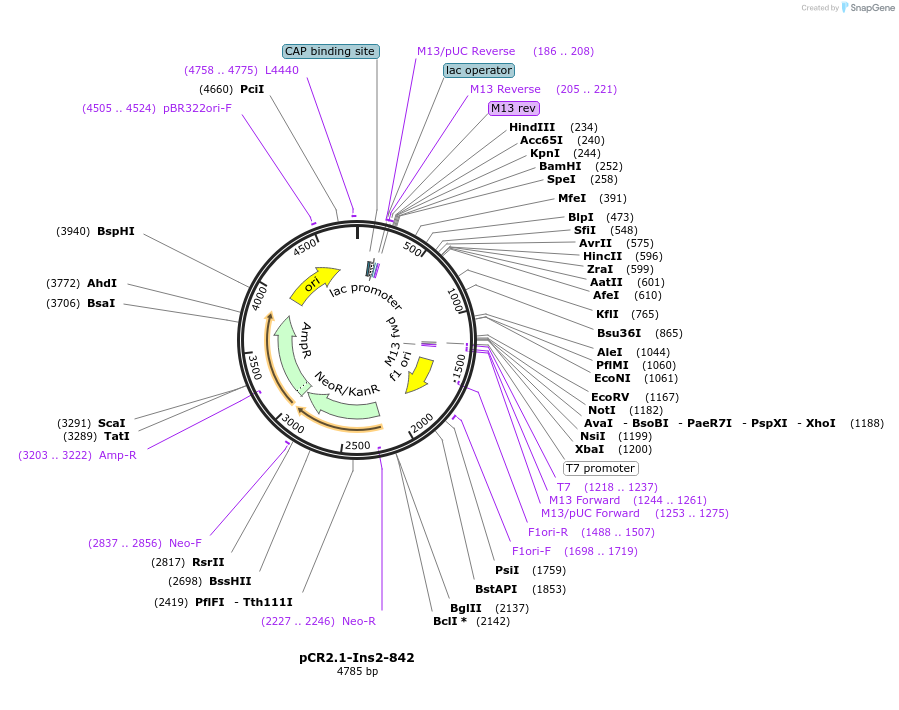 84089_map