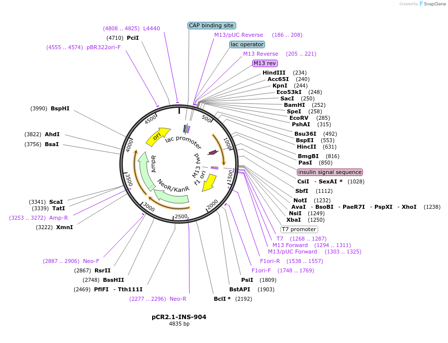 84090_map