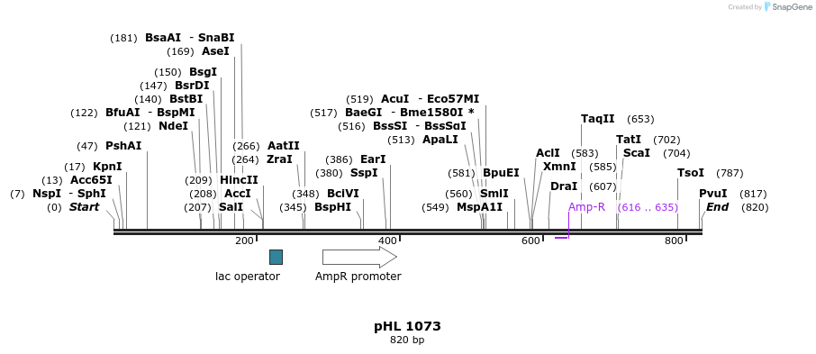 84091_map