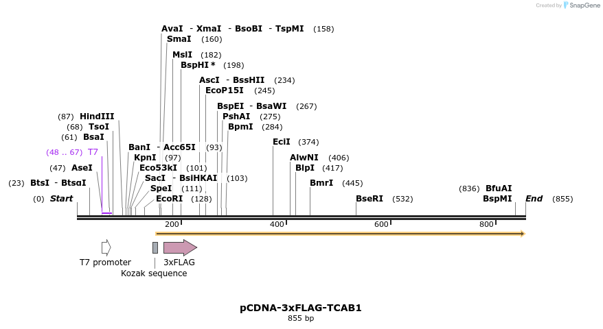 84092_map