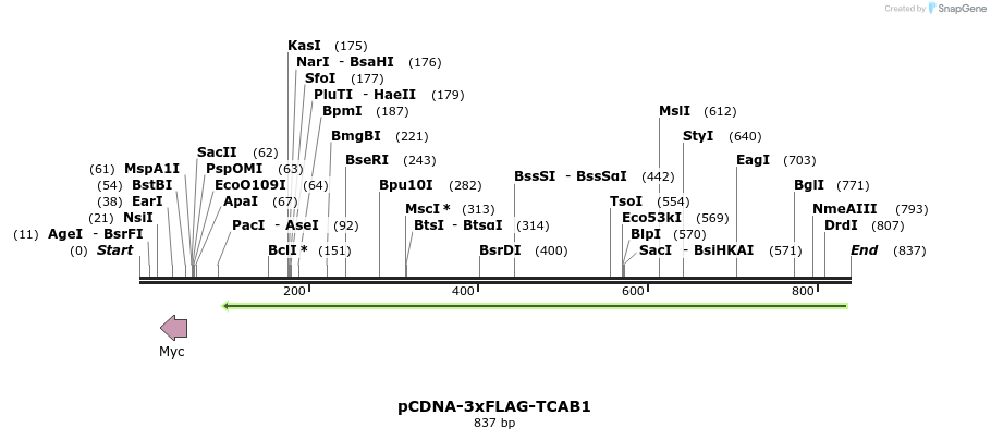84097_map