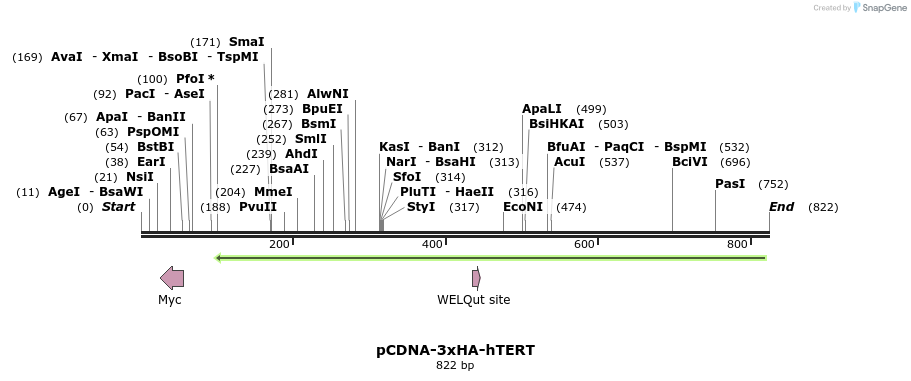 84098_map