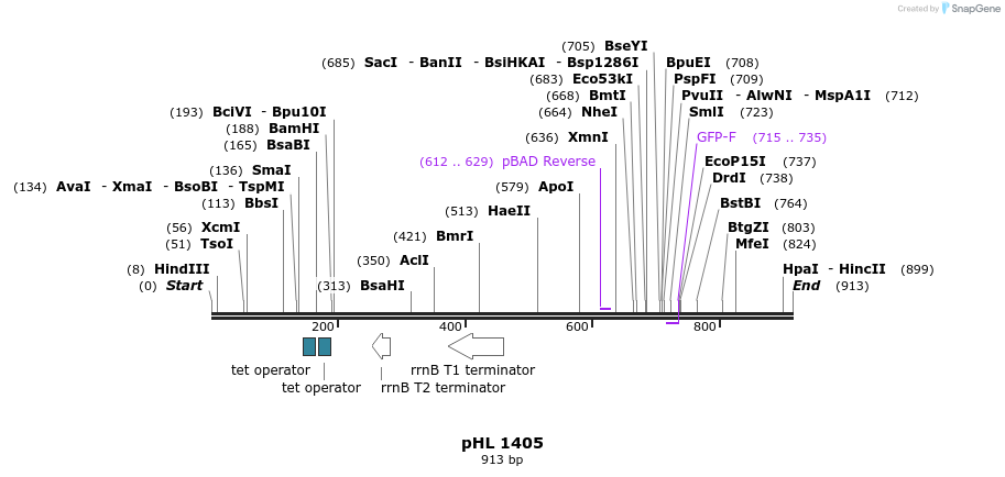 84101_map