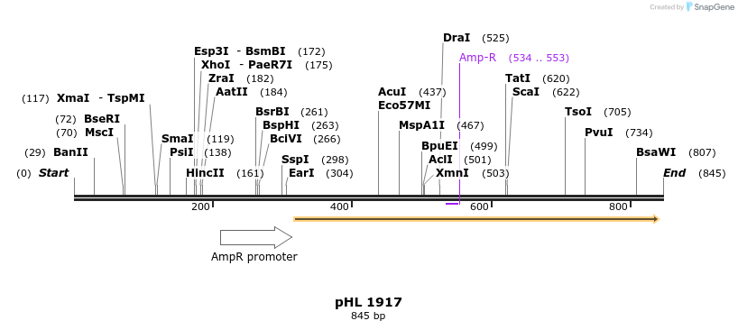 84105_map