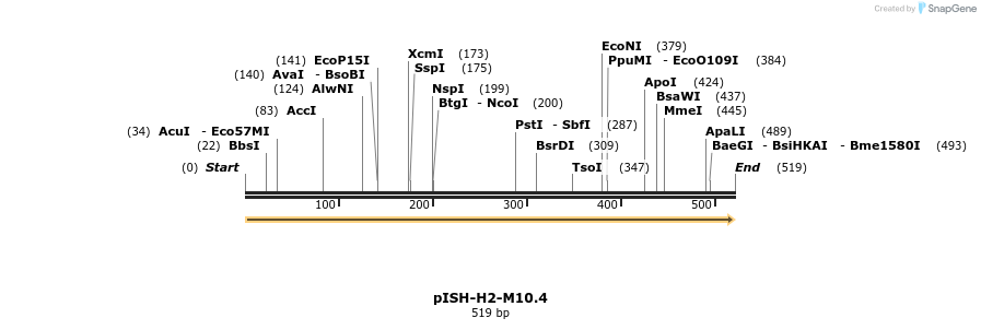 8411_map
