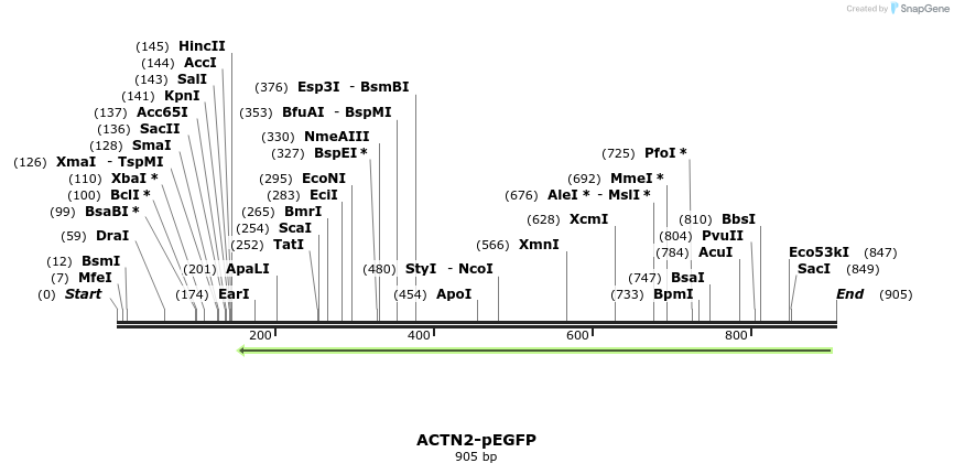 84115_map
