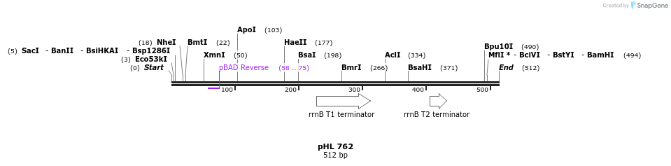 84119_map