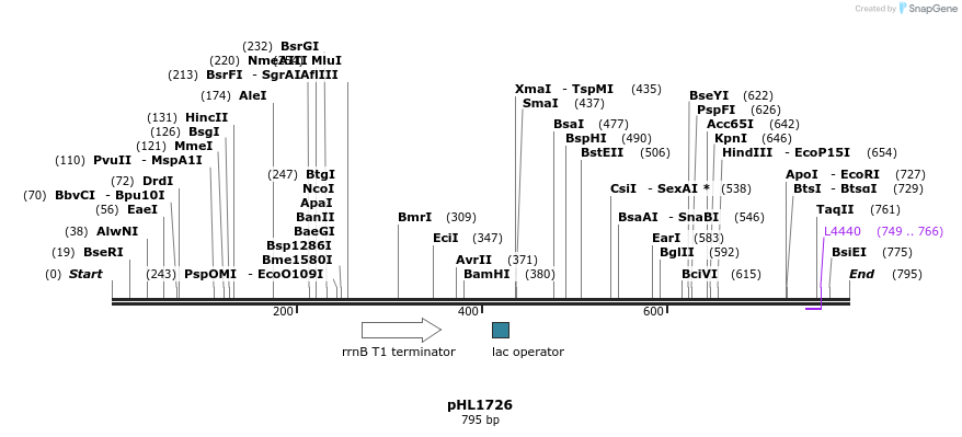 84121_map