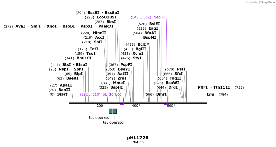 84124_map