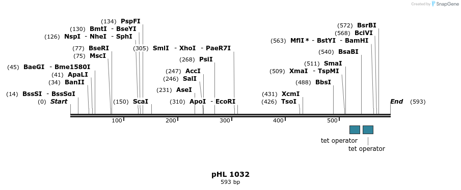 84126_map