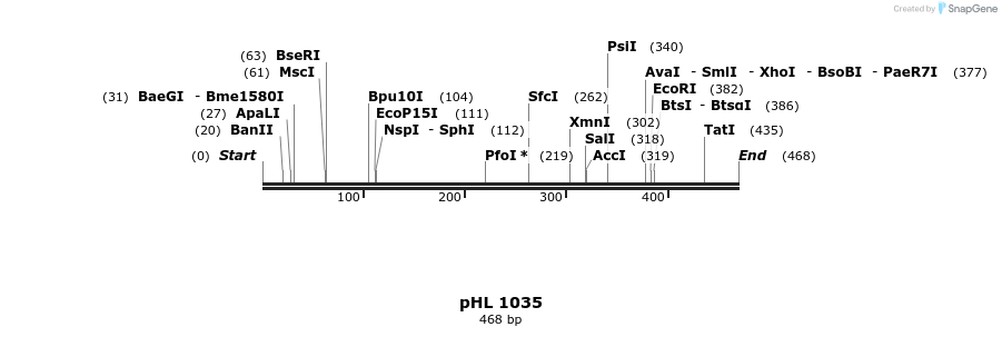 84130_map