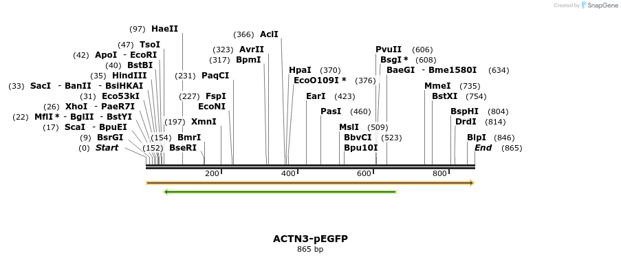 84135_map