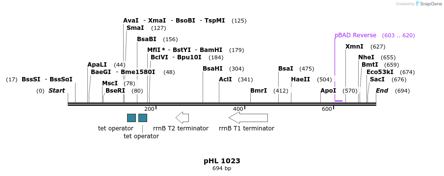 84138_map