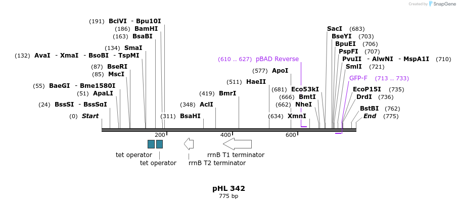 84141_map