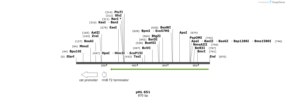 84143_map
